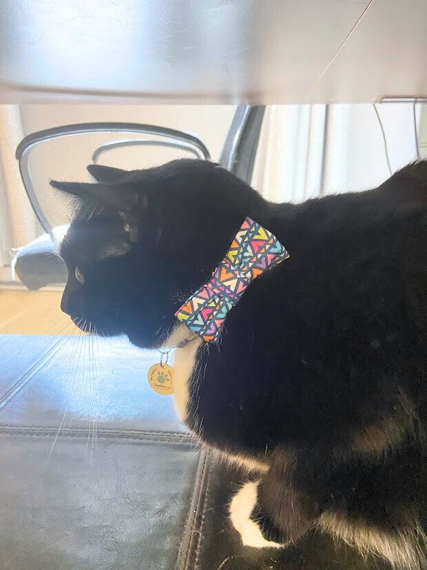 Nœud papillon coloré géométrique pour chat et petit chien
