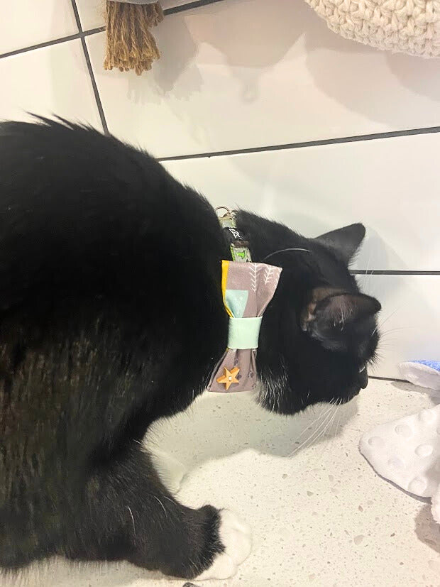 Nœud papillon de noël pour chat ou petit chien