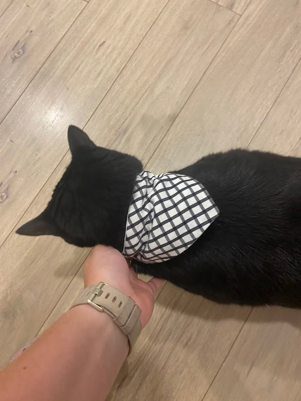 Foulard pour animaux rayure noir sur fond blanc