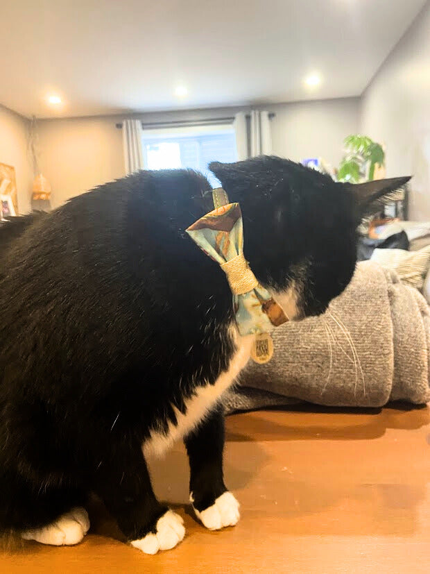 Nœud papillon de noël pour chat ou petit chien