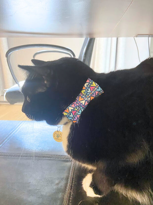 Nœud papillon coloré géométrique pour chat et petit chien