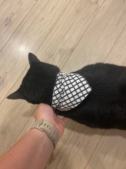 Foulard pour animaux rayure noir sur fond blanc