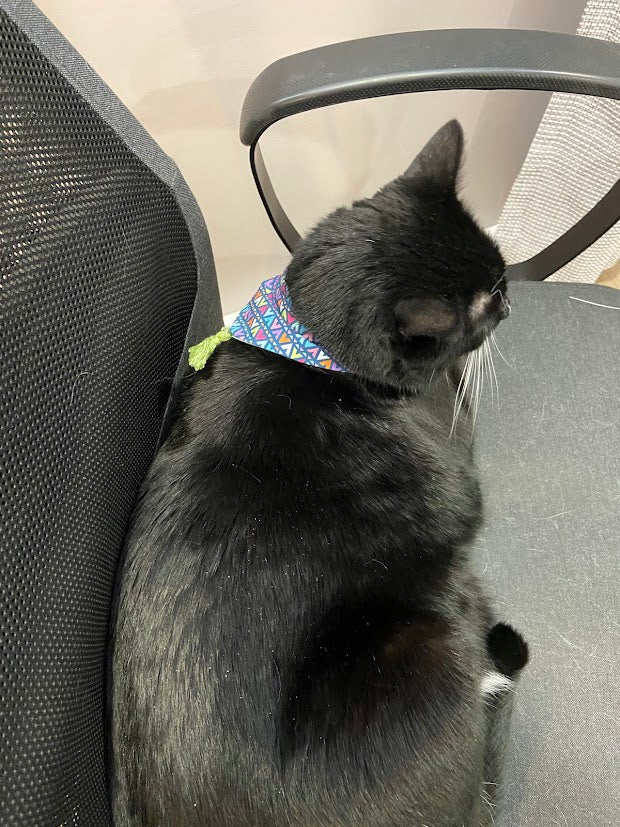 Bandana pour animaux coloré géométrique avec pompon