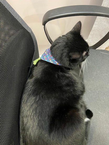 Bandana pour animaux coloré géométrique avec pompon